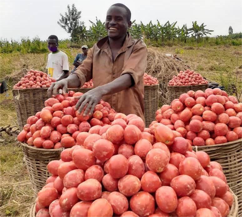 WhatsApp Image 2025-07-09 at 6.23.38 PM