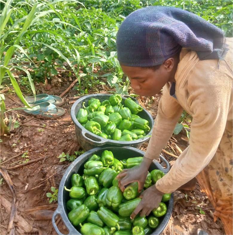 WhatsApp Image 2025-07-22 at 11.53.30 AM